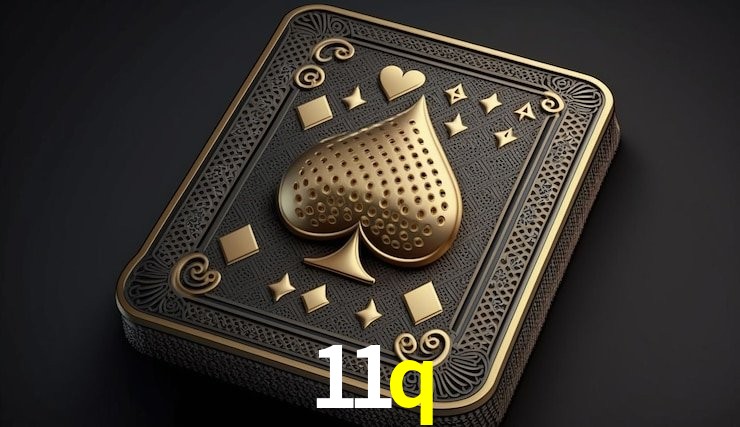 Experiência VIP 11q